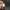 Scangrip SUNMATCH 4- Luz detailing e igualación de color | Scangrip