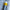 Koch-Chemie